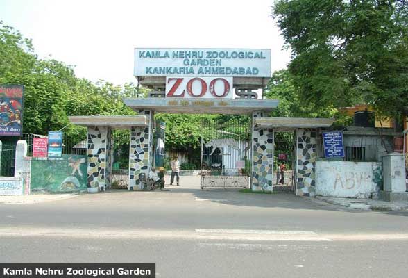 Kamla Nehru Zoological Garden Ahmedabad