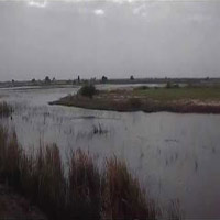 Bhaskarpara wetlands Gujarat