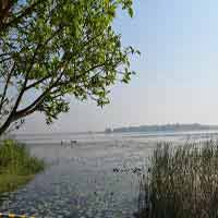 Kanewal Lake Gujarat