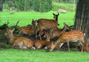 Deer Park Gandhinagar