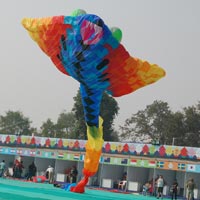 International Kite Festival Ahmedabad